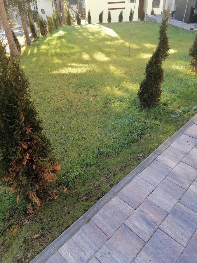 Forest Andrijana Zlatibor Exteriör bild