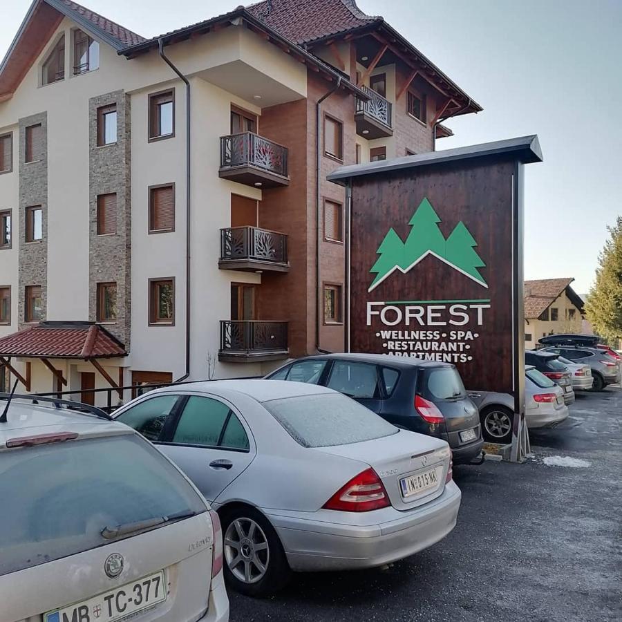 Forest Andrijana Zlatibor Exteriör bild